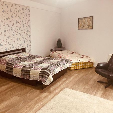 Edit House Apartment Târgu-Mureş Dış mekan fotoğraf