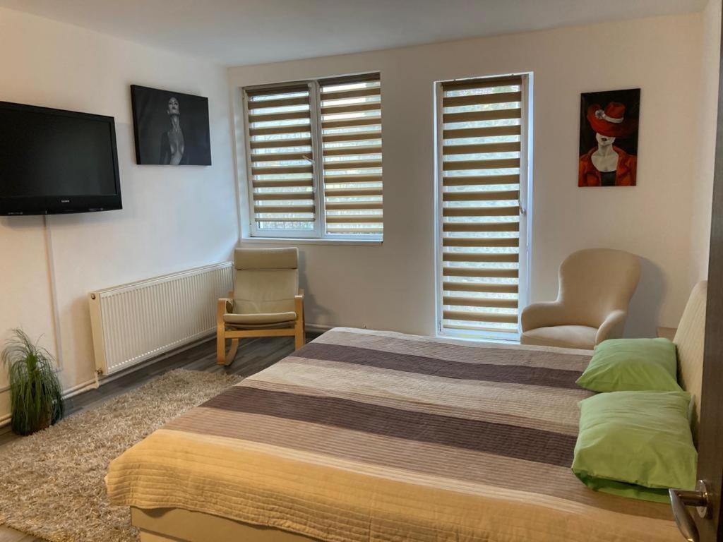 Edit House Apartment Târgu-Mureş Dış mekan fotoğraf
