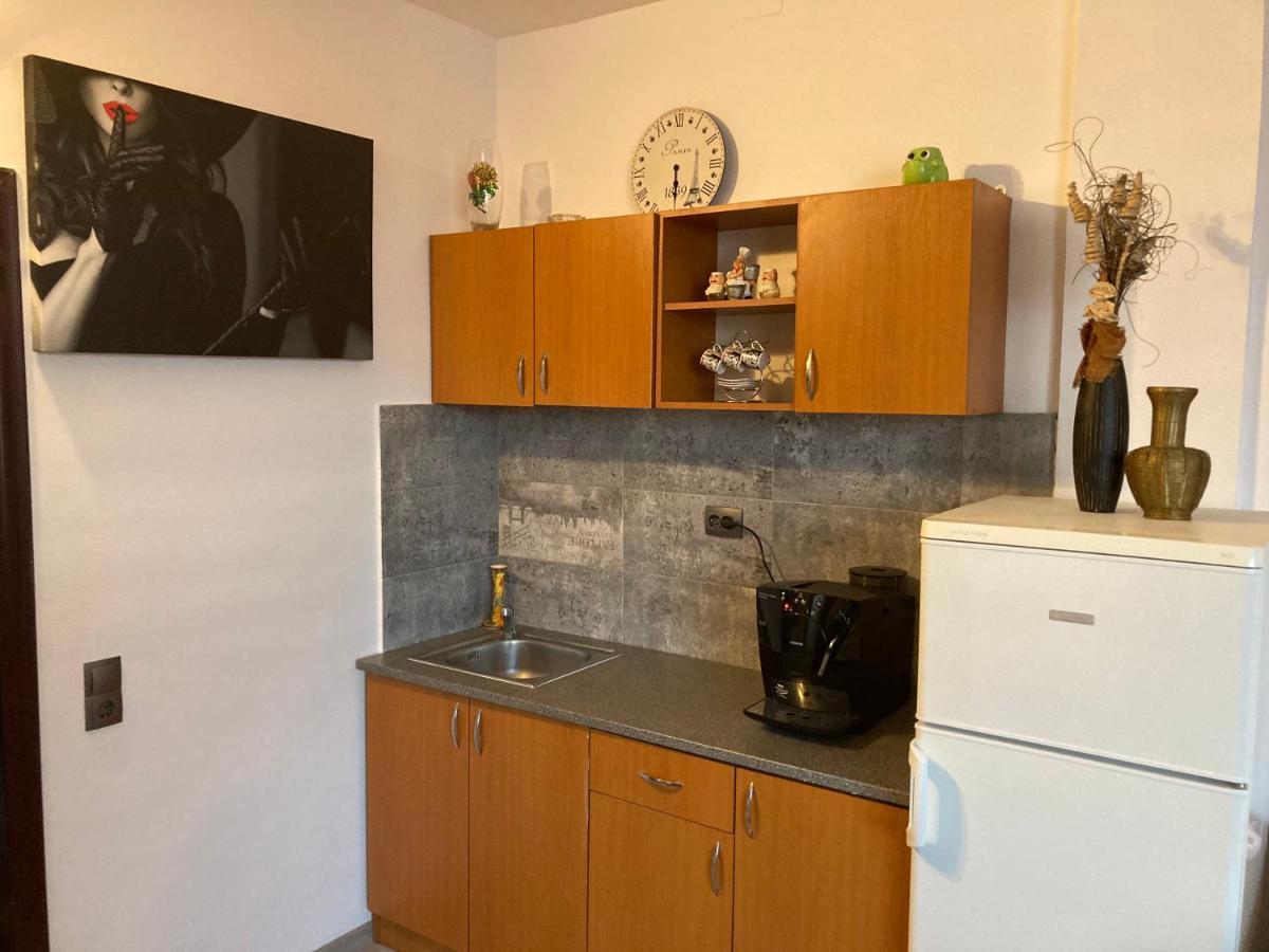 Edit House Apartment Târgu-Mureş Dış mekan fotoğraf