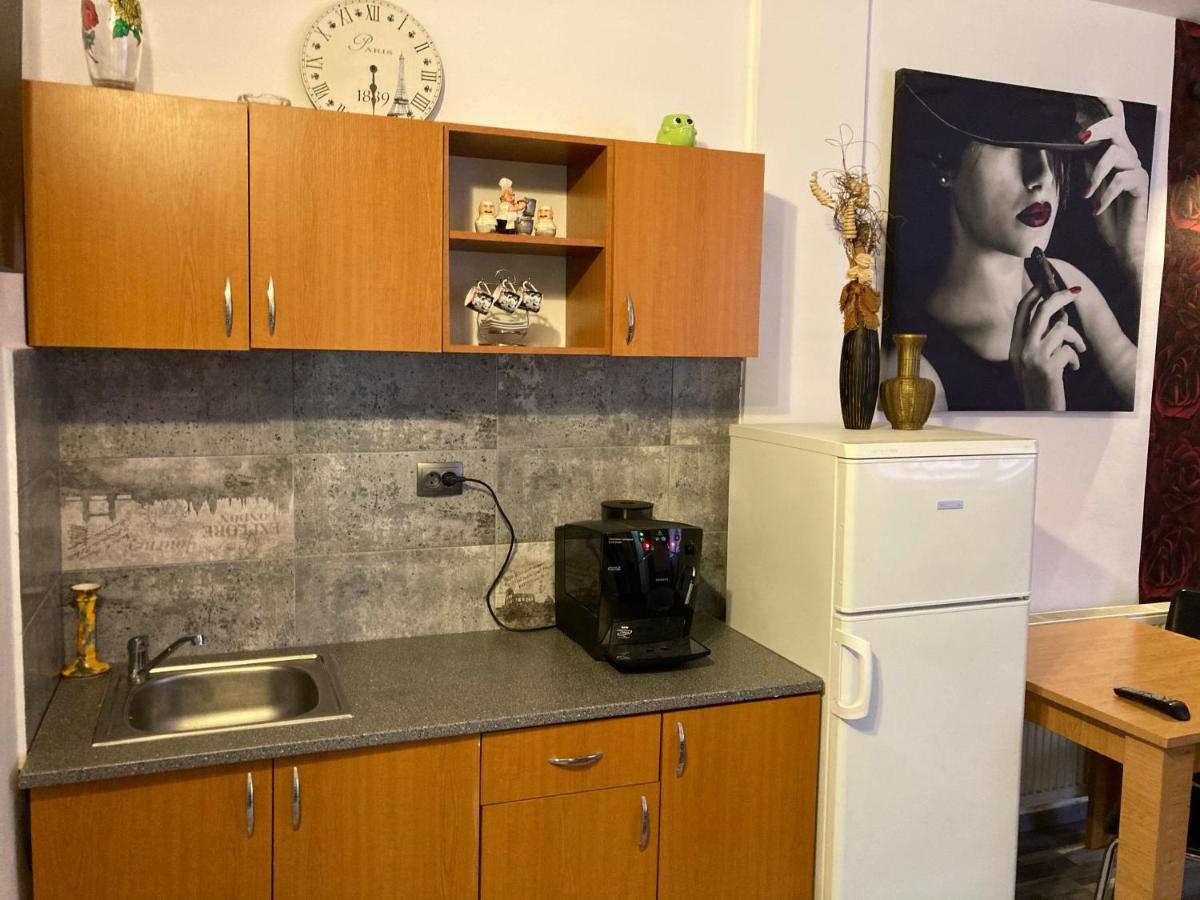 Edit House Apartment Târgu-Mureş Dış mekan fotoğraf